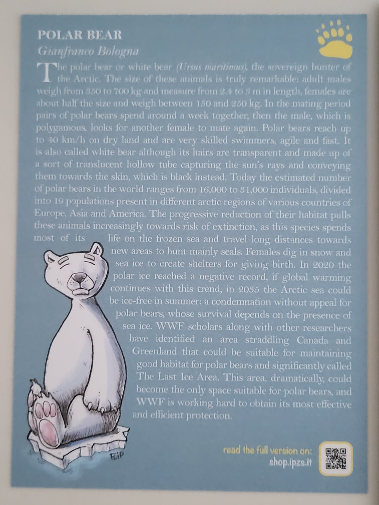REPUBBLICA ITALIANA - 5 Euro 2021 - serie 'Animali in via d'estinzione - 'Orso Polare'