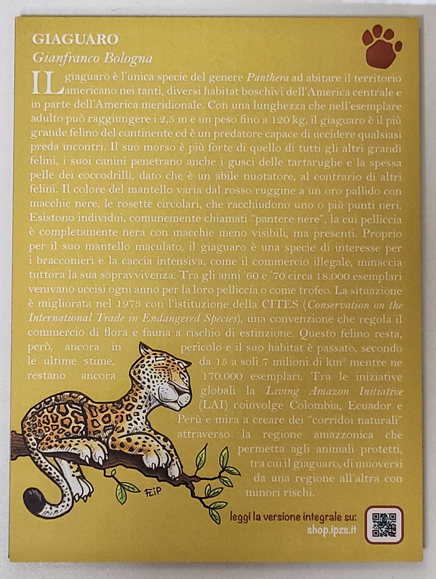 REPUBBLICA ITALIANA 2022 - 5 Euro - serie 'Animali in via d'estinzione' - Giaguaro