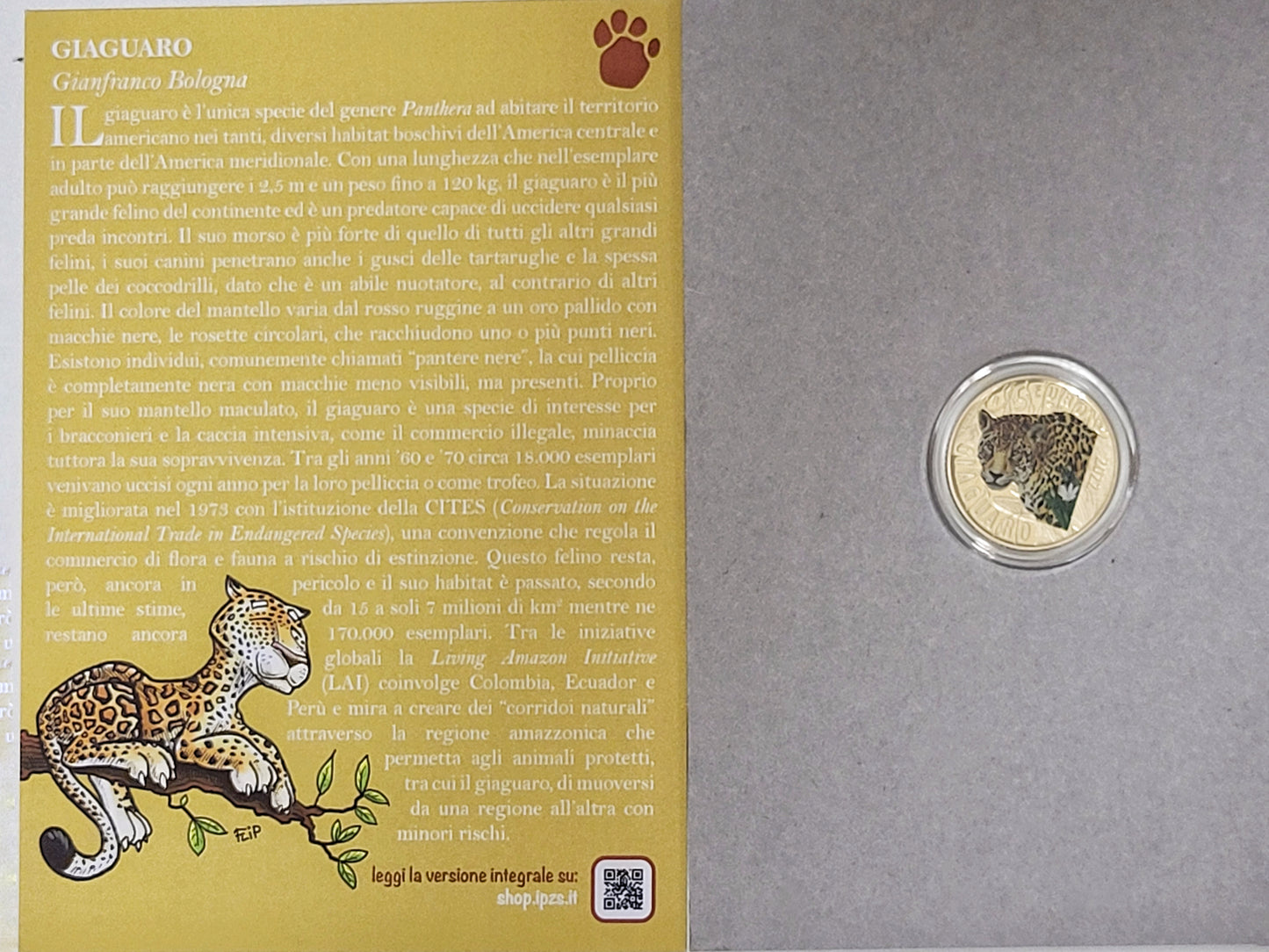 REPUBBLICA ITALIANA 2022 - 5 Euro - serie 'Animali in via d'estinzione' - Giaguaro
